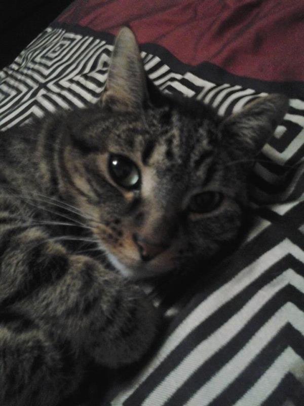 /Images/uploads/Humane Society of Utah/HSUCalendar/entries/993thumb.jpg